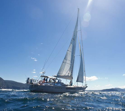Full Day Charter